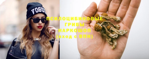 прущая мука Пестово