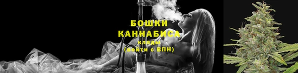 эйфоретик Пересвет