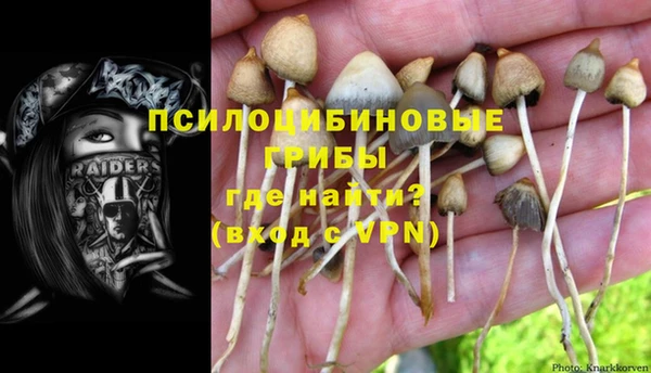 эйфоретик Переславль-Залесский