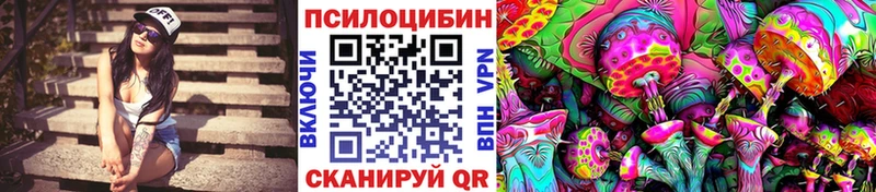 Псилоцибиновые грибы Psilocybine cubensis  Болхов 